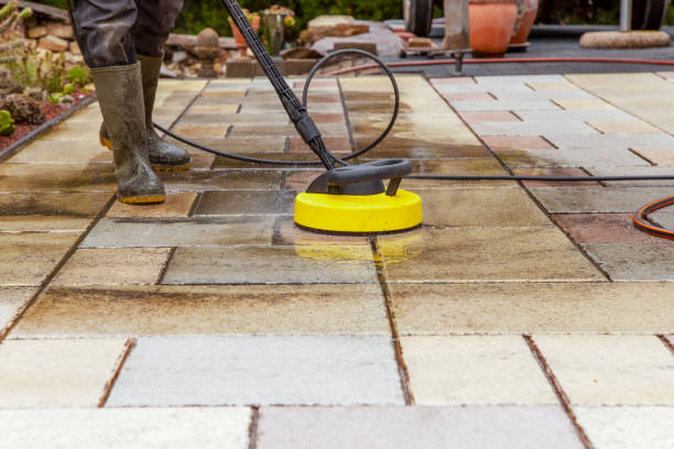 Animal Enclosure Cleaning in London, CA